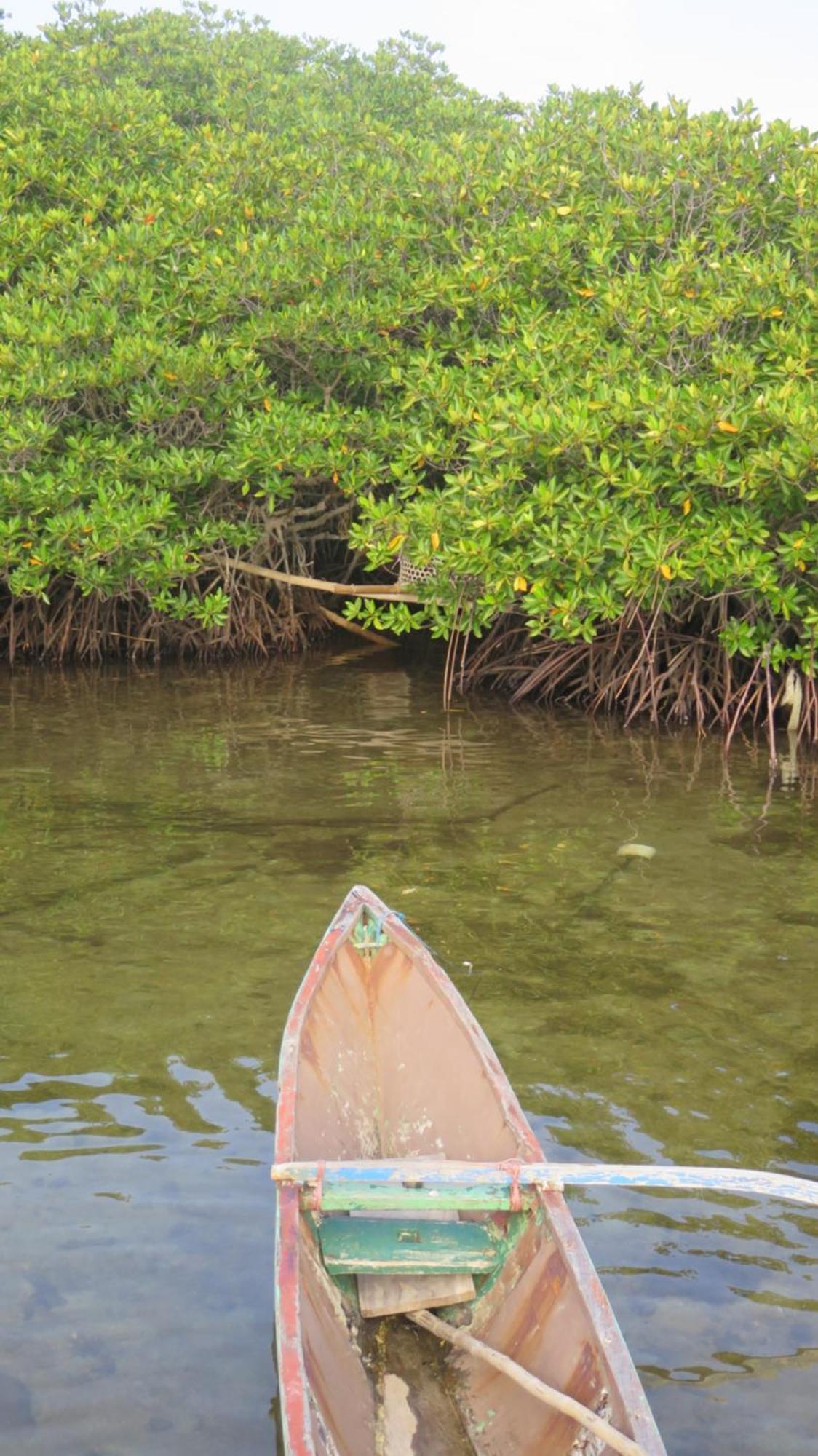 Mangrove Inn Karimunjawa-Inseln Exterior foto