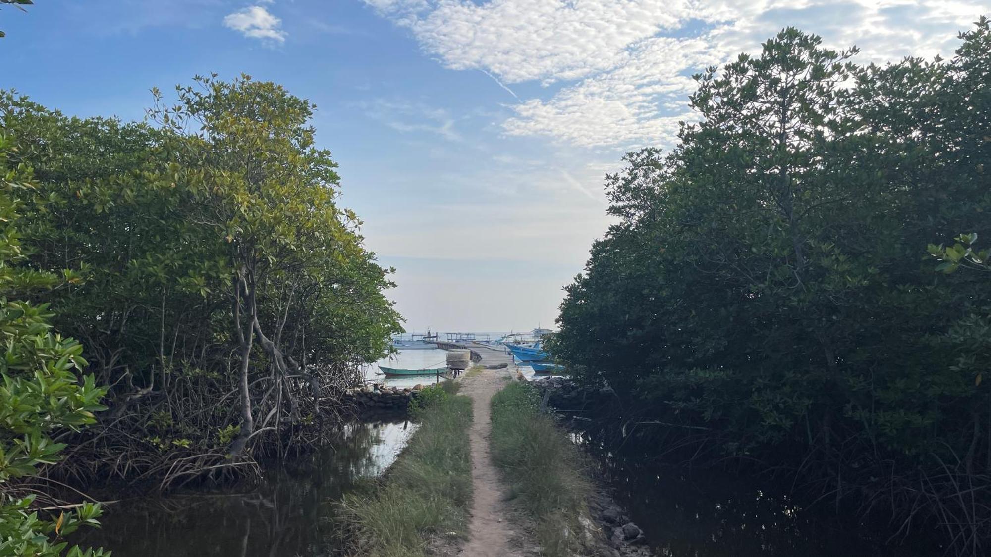Mangrove Inn Karimunjawa-Inseln Exterior foto