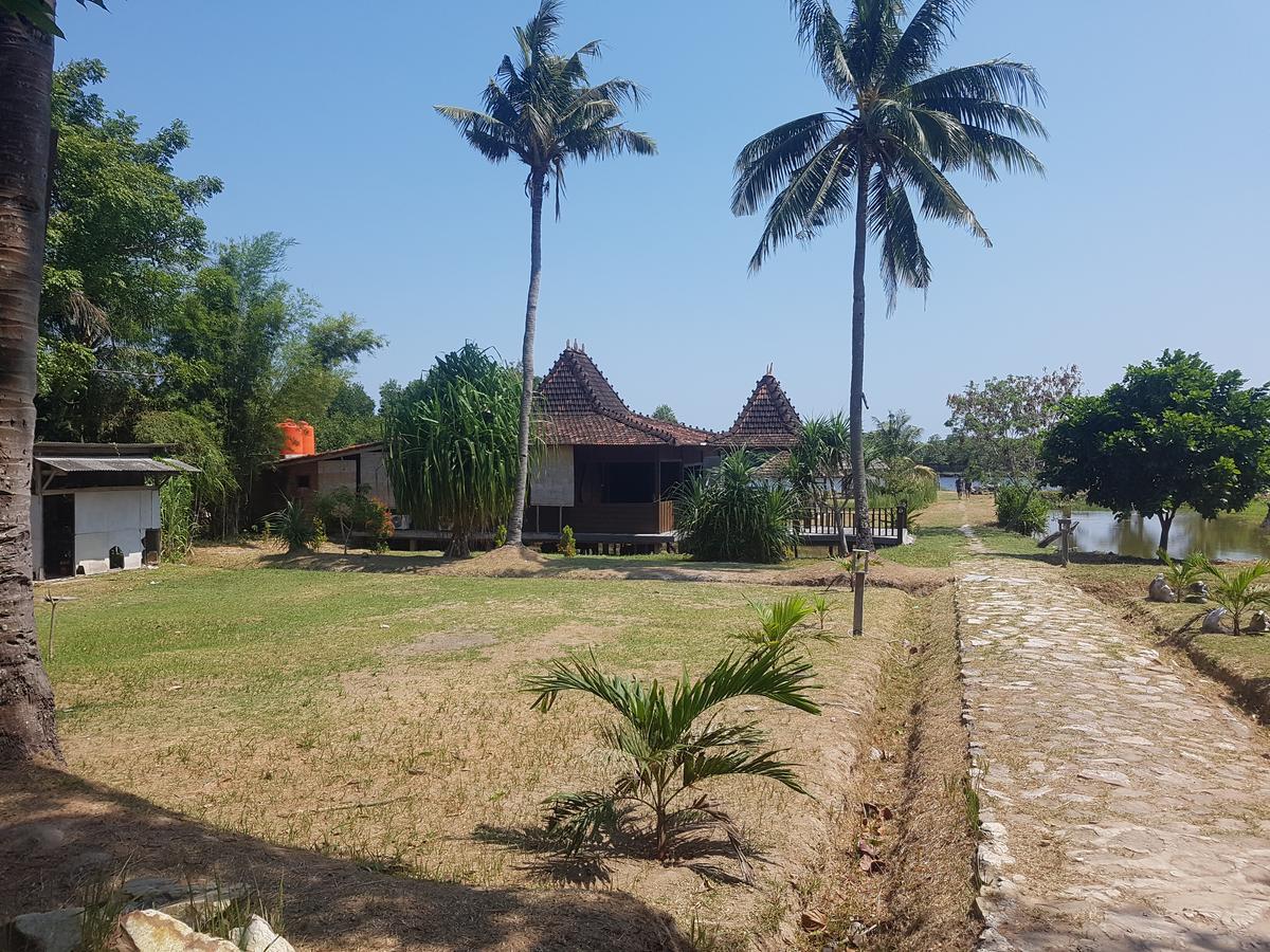 Mangrove Inn Karimunjawa-Inseln Exterior foto