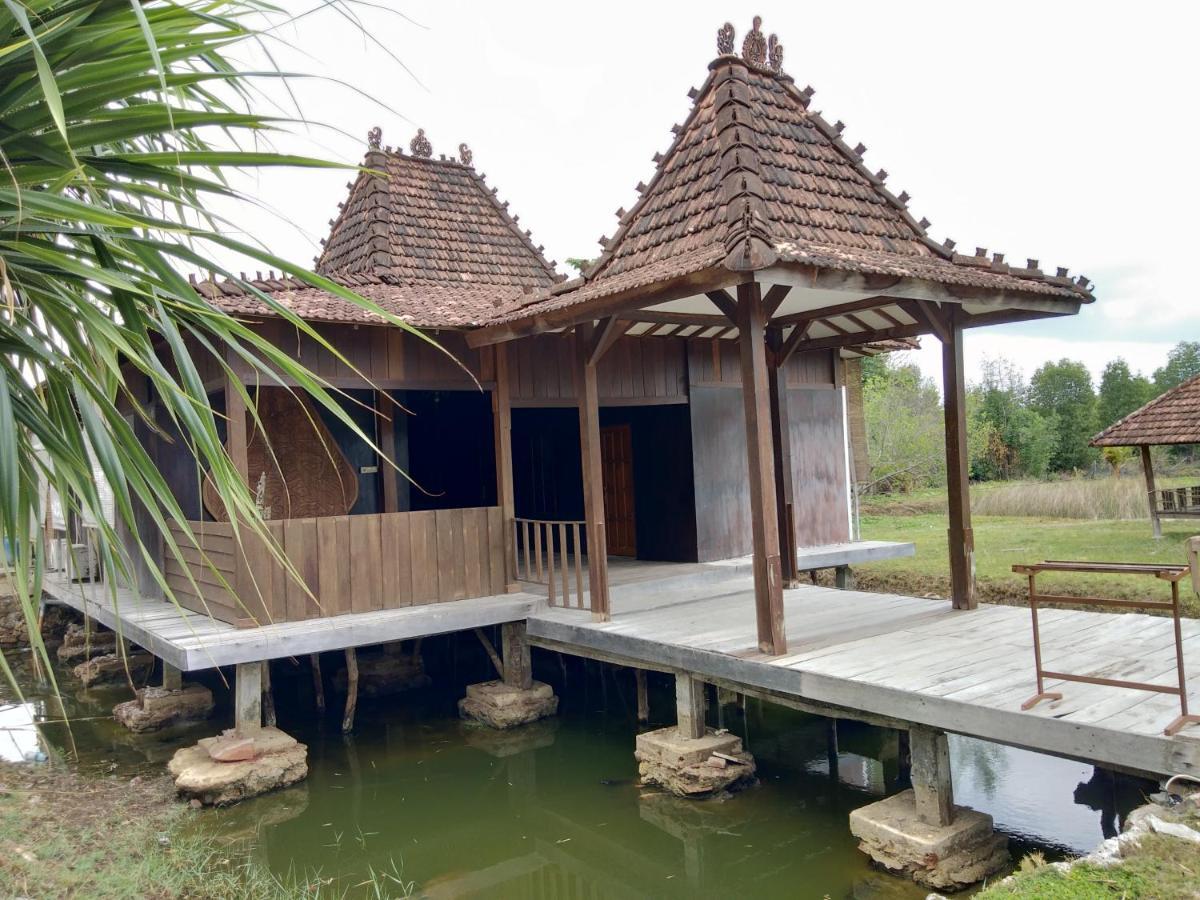 Mangrove Inn Karimunjawa-Inseln Exterior foto